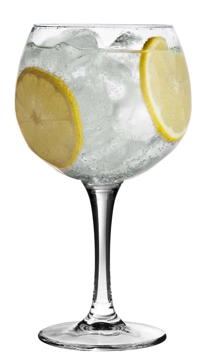 Gin Tonic Ballonglas mit Eis und Zitronenscheiben gefüllt