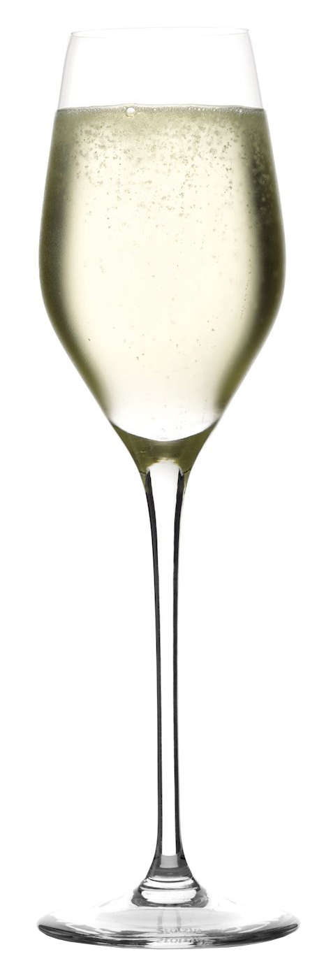 Champagnerglas | Exquisit Royal - Stölzle Lausitz | 265 ml (6 Stk)