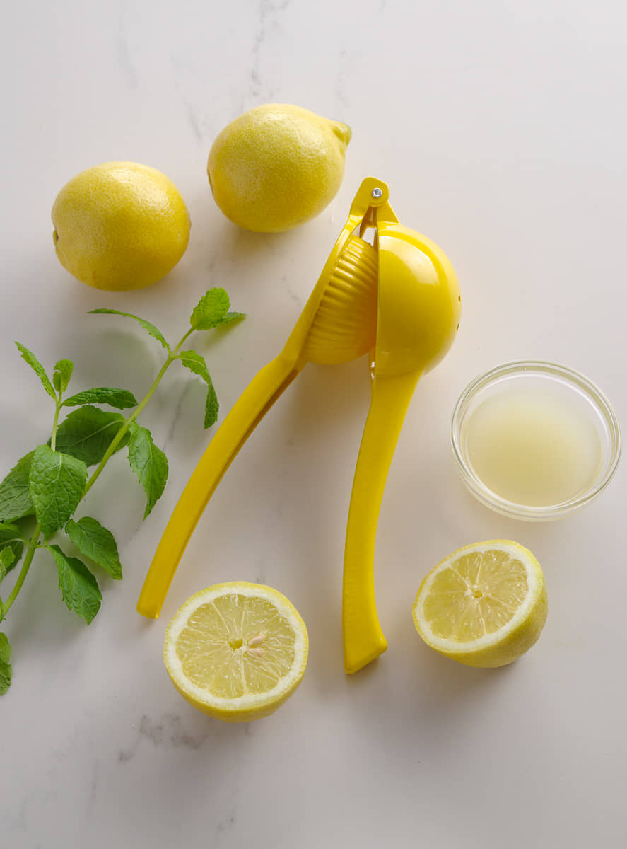 Handsaftpresse neben Zitronen und Schale mit Zitronensaft