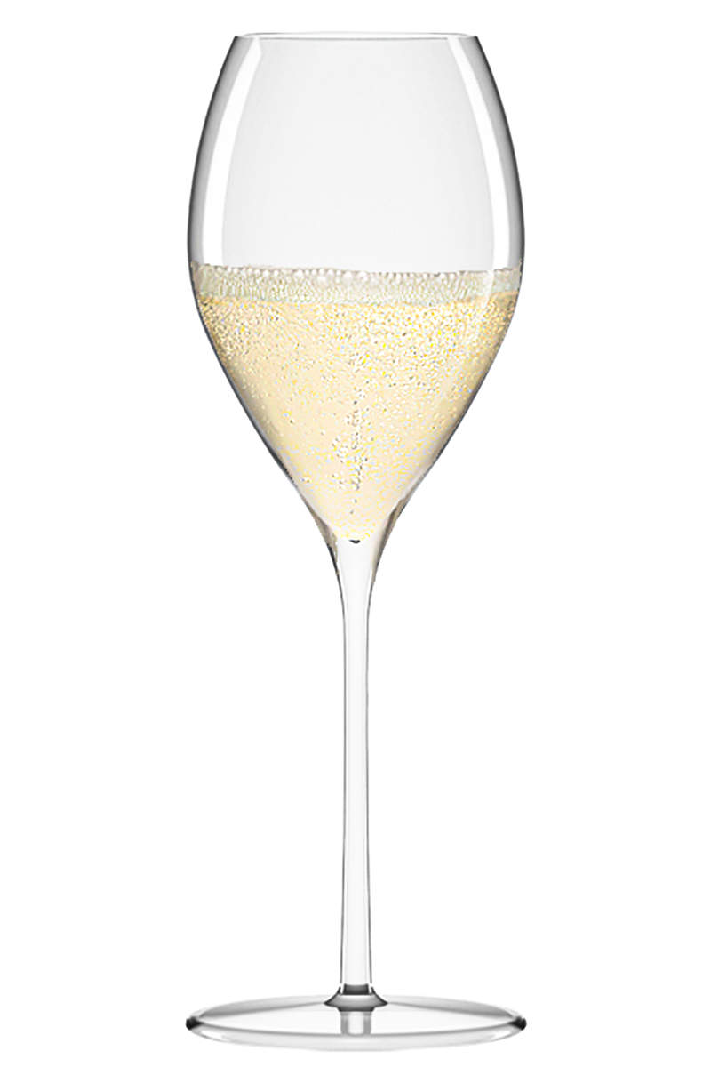 Champagnerglas | Fino - Stölzle Lausitz | 425 ml (6 Stk)