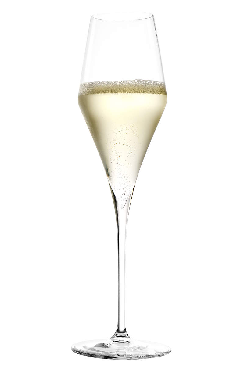 Champagnerglas | Q1 - Stölzle Lausitz | 300 ml (6 Stk)