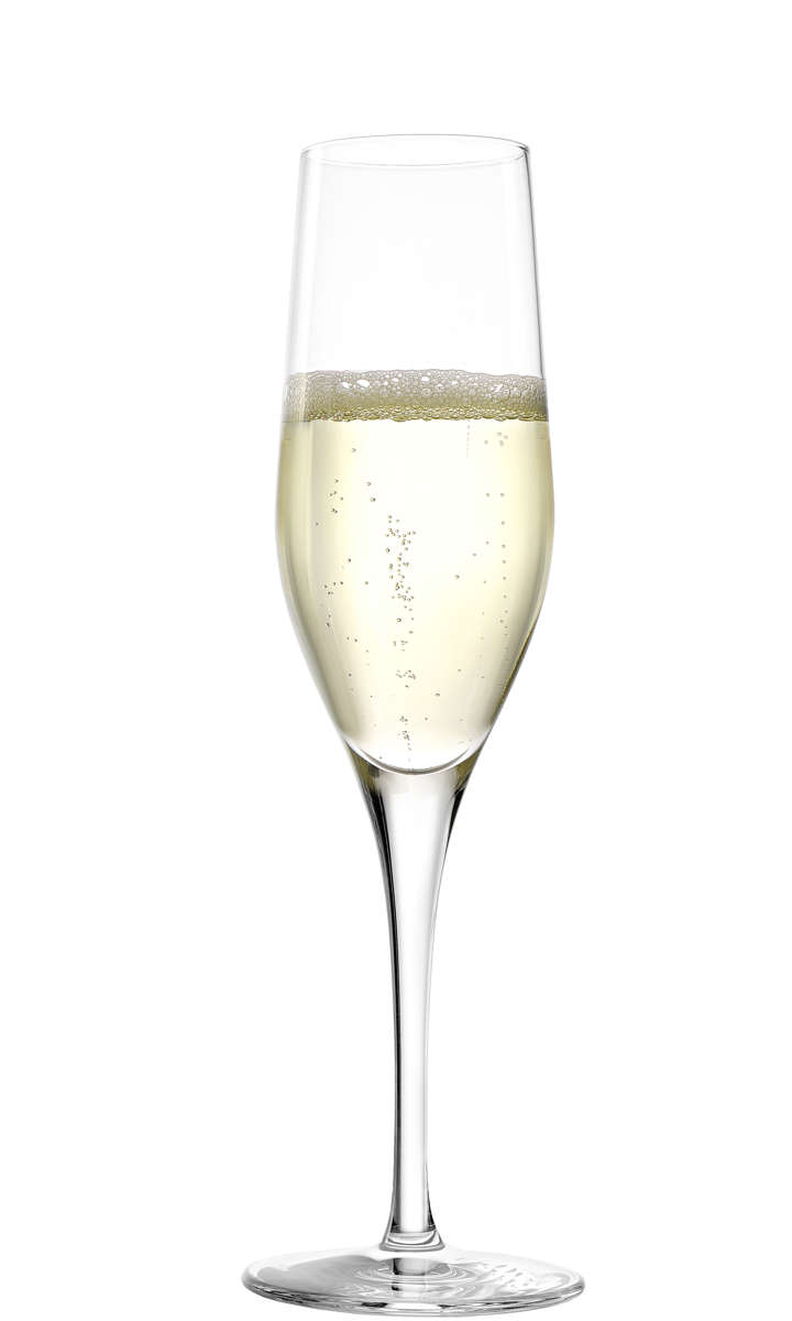 Sektglas | Exquisit - Stölzle Lausitz | 175 ml (6 Stk) Sektglas | Exquisit - Stölzle Lausitz | 175 ml (6 Stk)