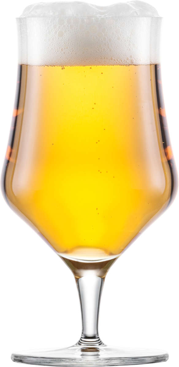 Craft Universal Bierglas 0,3l | Beer Basic - Schott Zwiesel | 450 ml (6 Stk)