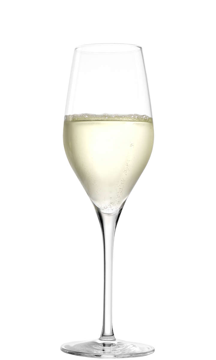 Champagnerglas | Exquisit - Stölzle Lausitz | 265 ml (6 Stk)