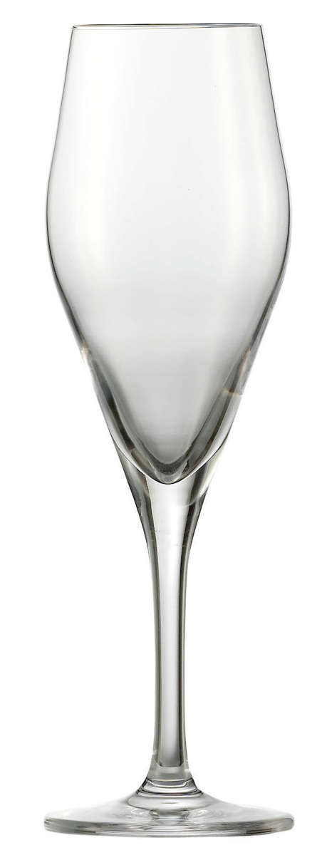 Champagnerglas Audience | Bar Special - Schott Zwiesel | 250 ml (6 Stk)