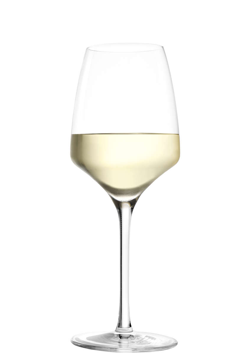 Weißweinglas | Experience - Stölzle Lausitz | 350 ml (6 Stk) Weißweinglas | Experience - Stölzle Lausitz | 350 ml (6 Stk)